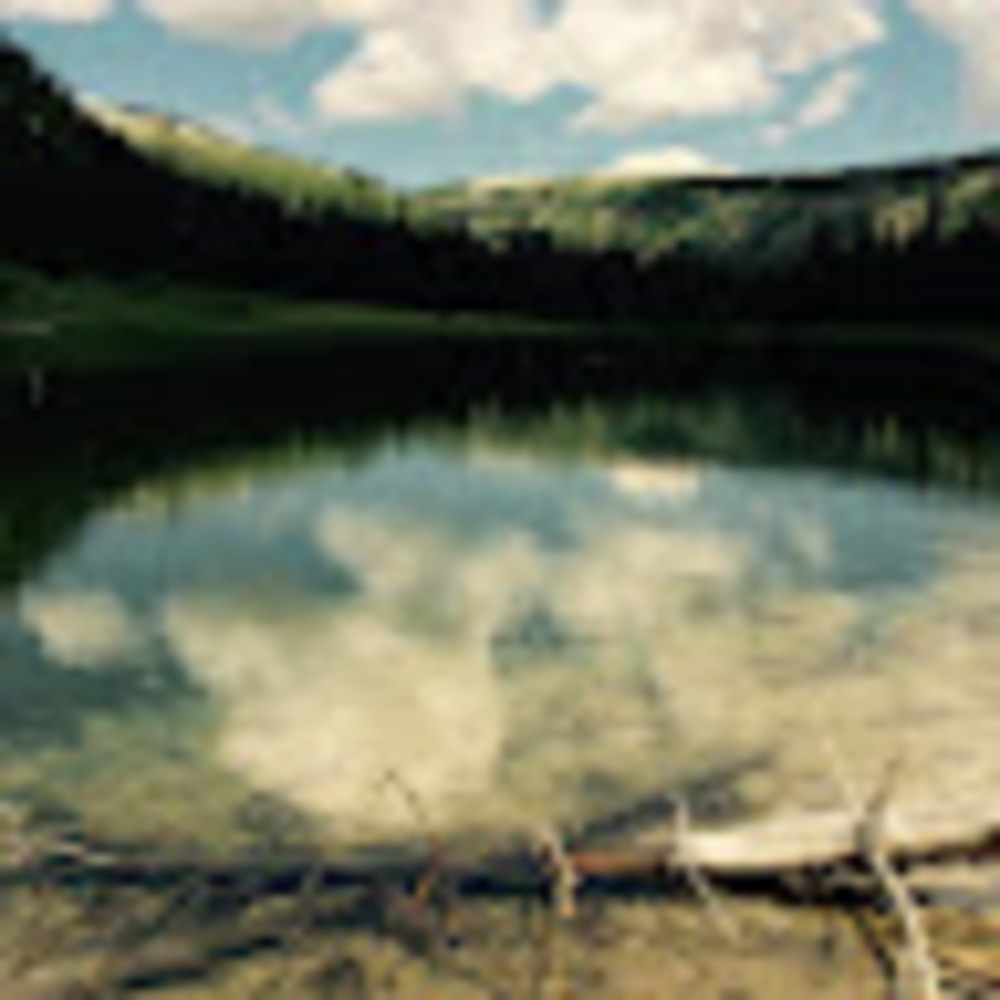 Meet your Posher, Daxton